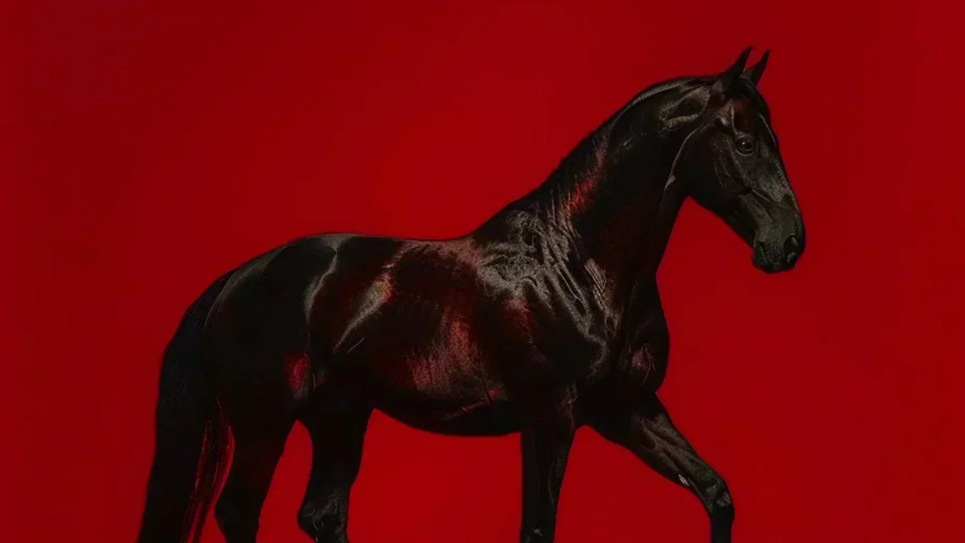 Chinese-inspired horse motifs in modern fashion cover.