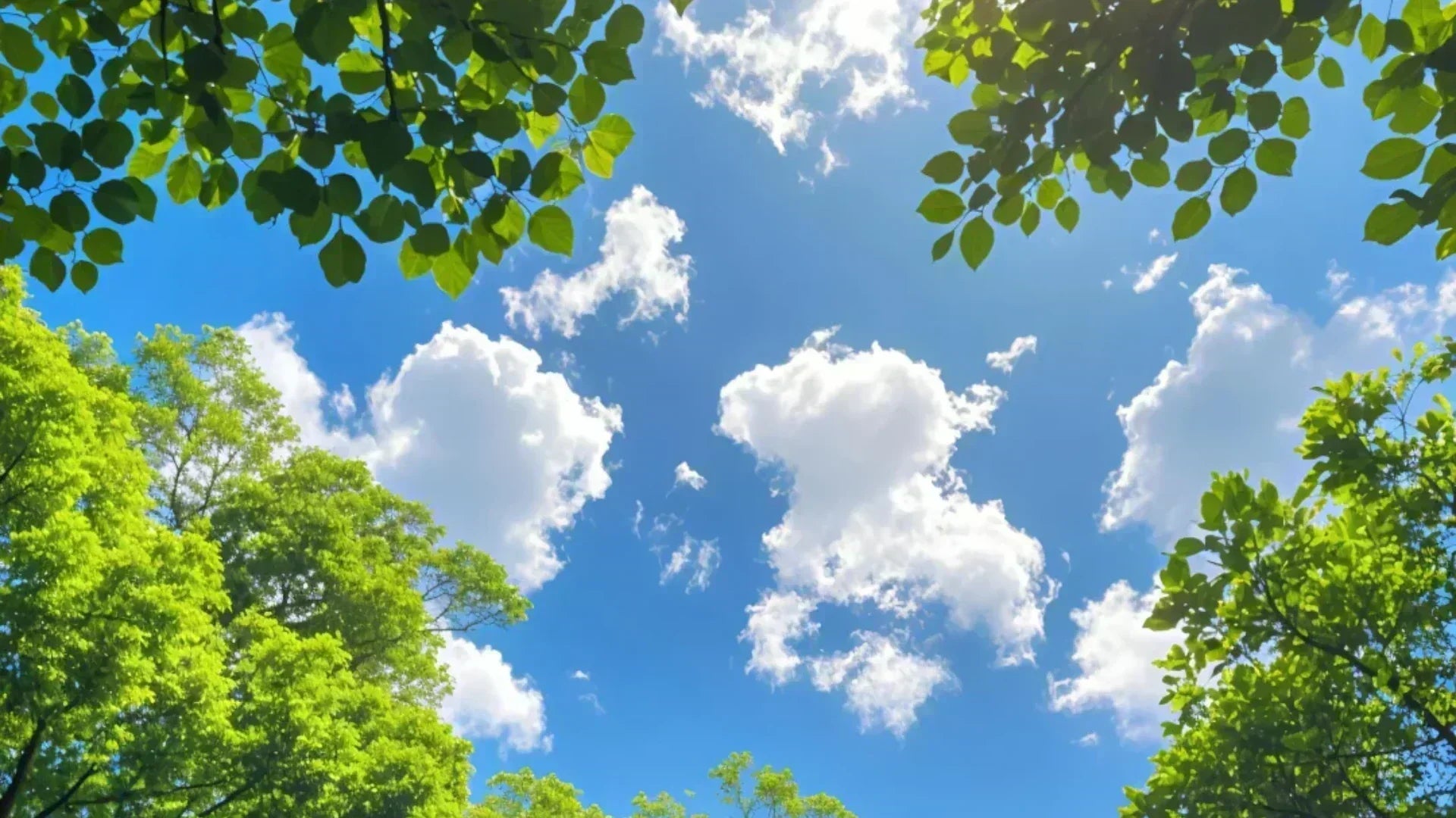 Minor Heat(Xiaoshu 小暑) – Understanding the Summer Solstice and its Impact - SinoCultural