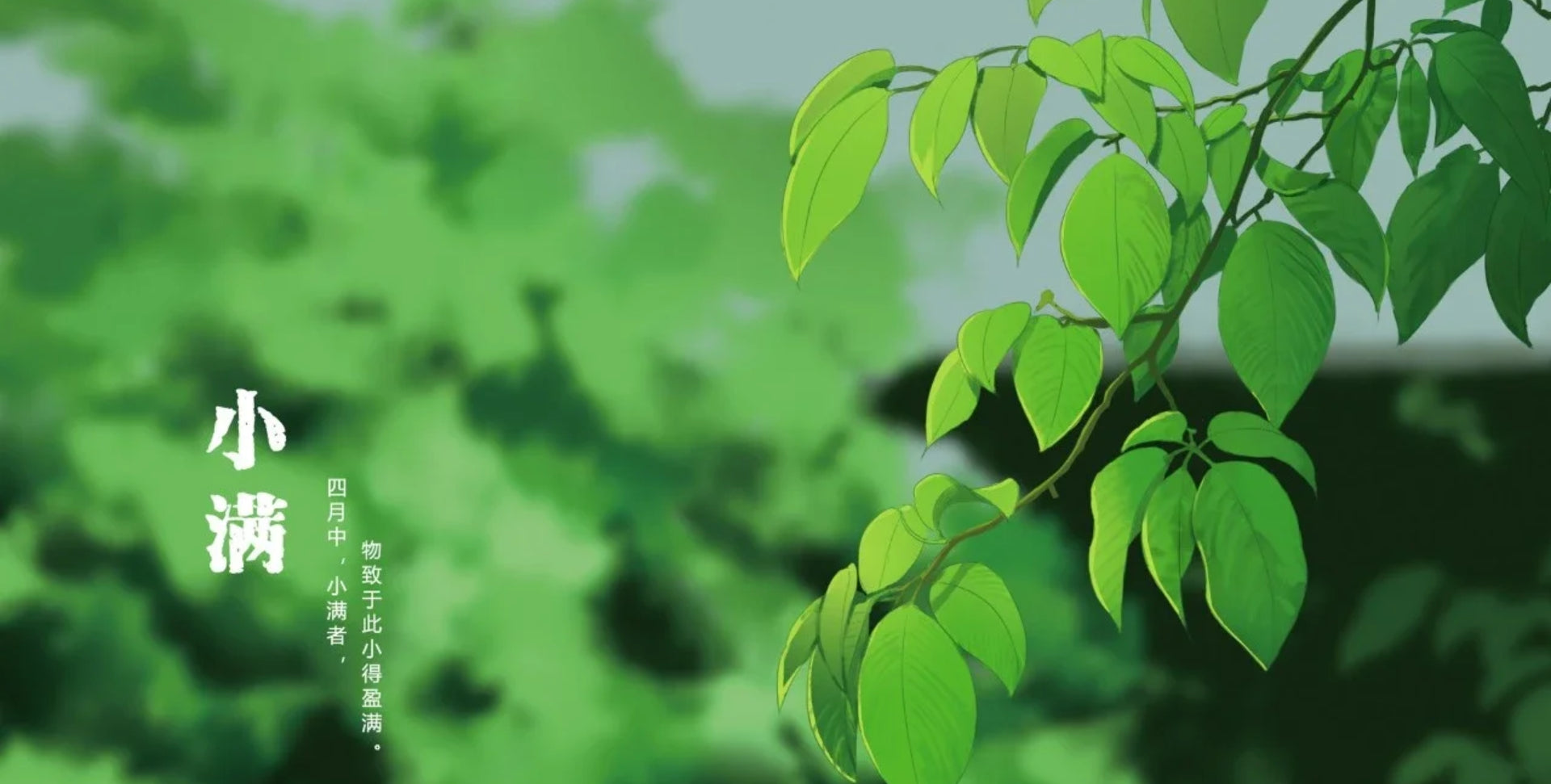 Grain Buds(Xiaoman小满): The Art of Small Fullness in Nature’s Cycle