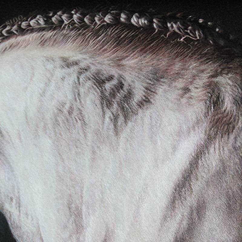 White Horse - SinoCultural -- W0016