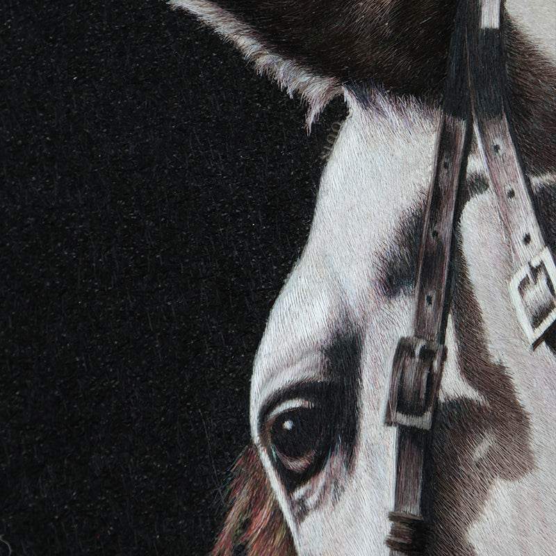 White Horse - SinoCultural -- W0016