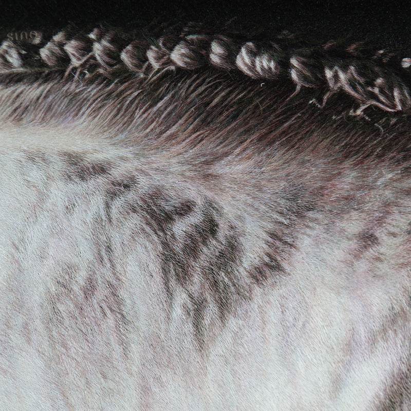 White Horse - SinoCultural -- W0016