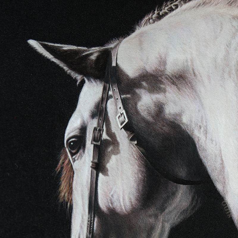 White Horse - SinoCultural -- W0016
