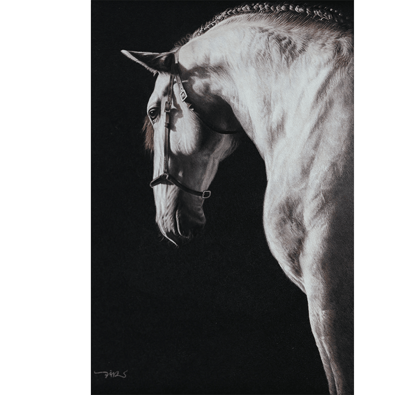 White Horse - SinoCultural -- W0016
