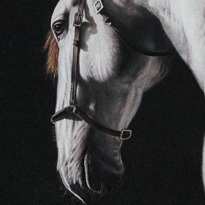 White Horse - SinoCultural -- W0016