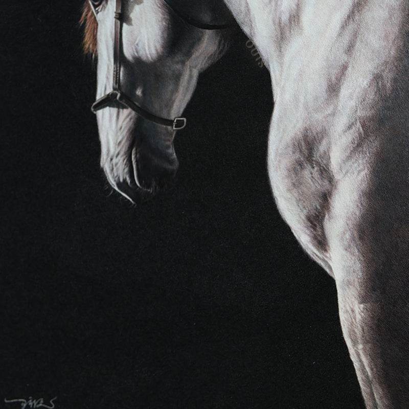 White Horse - SinoCultural -- W0016
