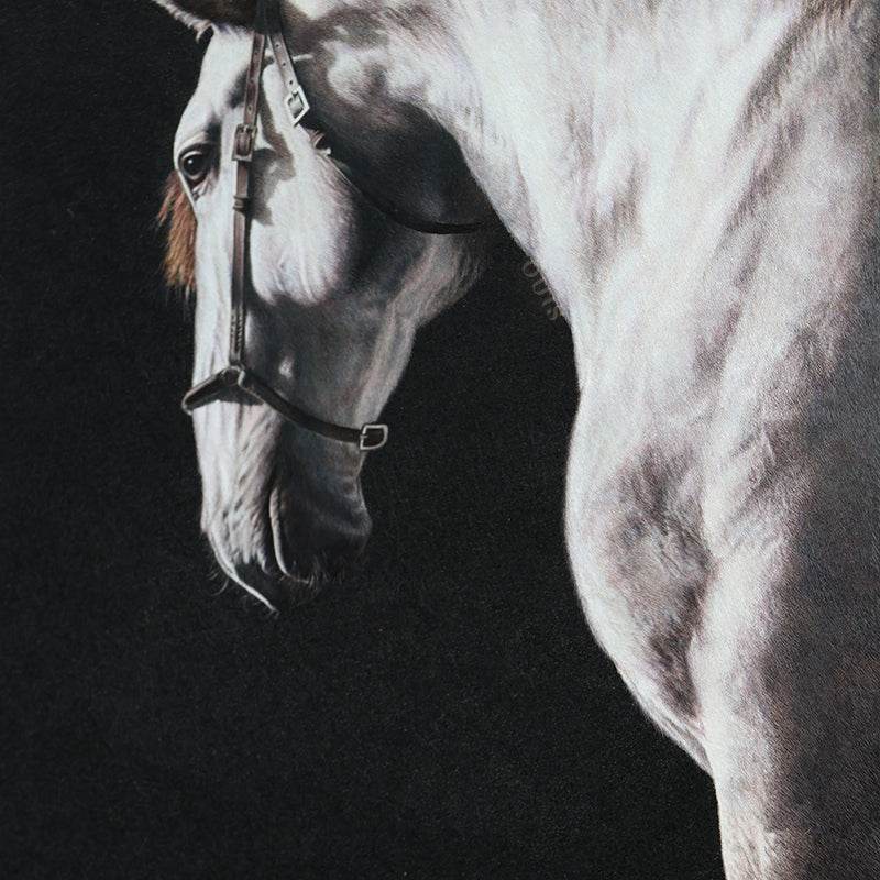 White Horse - SinoCultural -- W0016