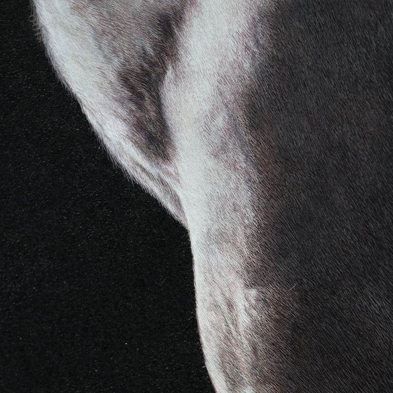 White Horse - SinoCultural -- W0016