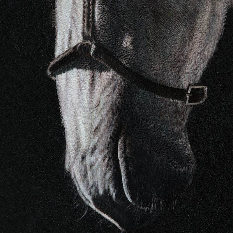 White Horse - SinoCultural -- W0016