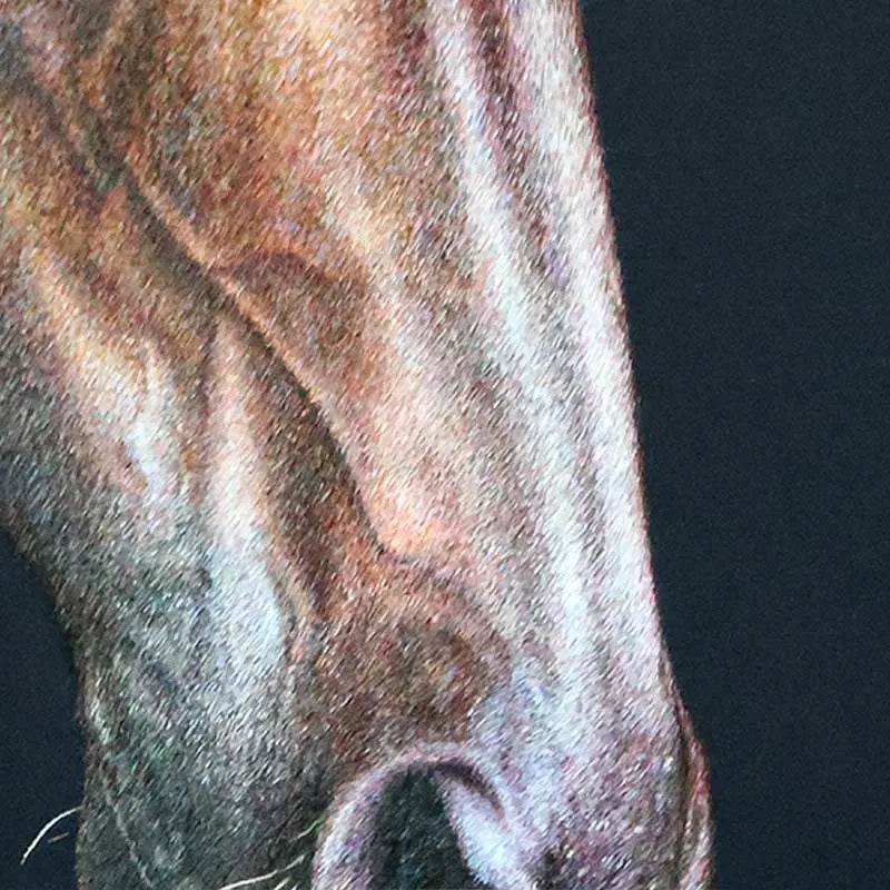 The Horse - SinoCultural -- W0169 -