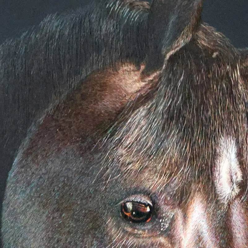 The Horse - SinoCultural -- W0169