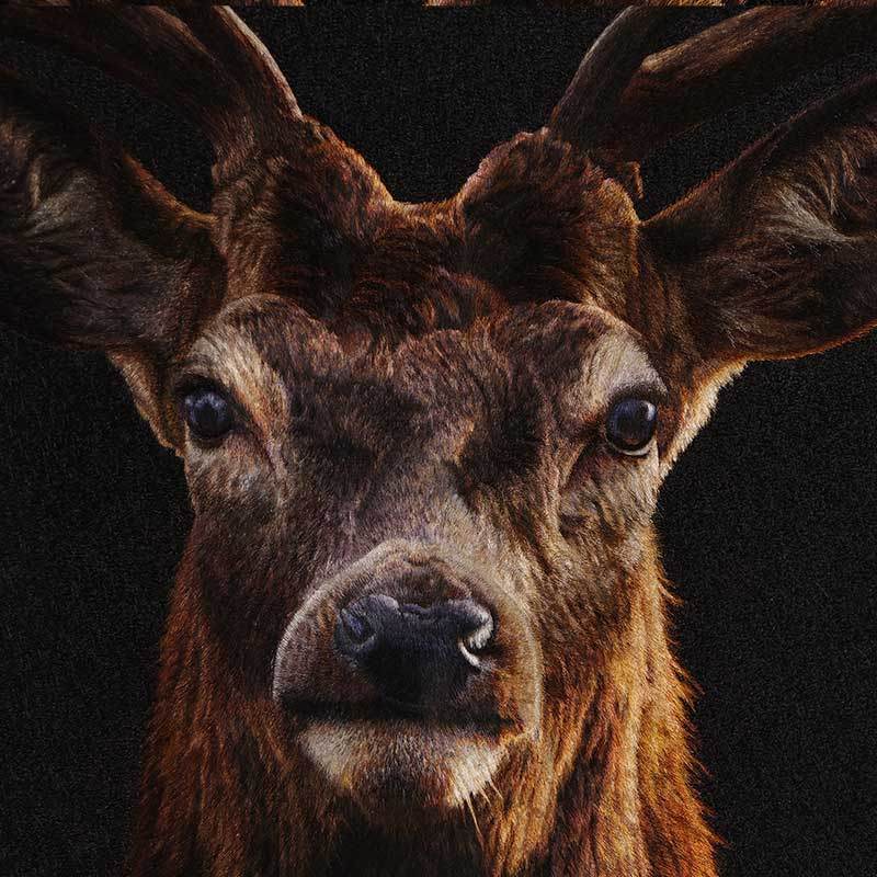 A Deer’s Prosperity - SinoCultural -- WXYW0170 -