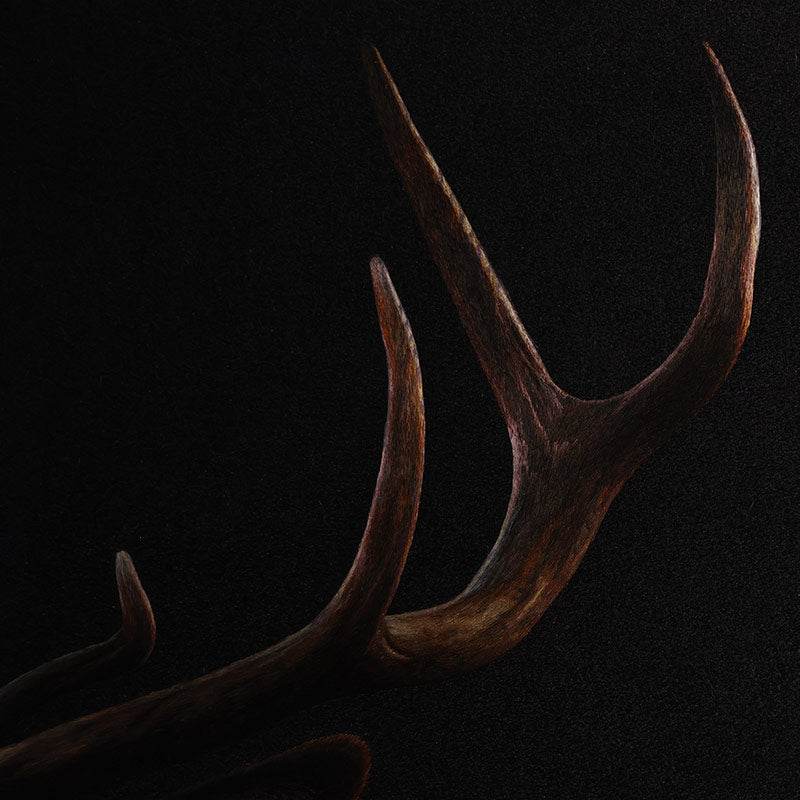 A Deer’s Prosperity - SinoCultural -- WXYW0170 -