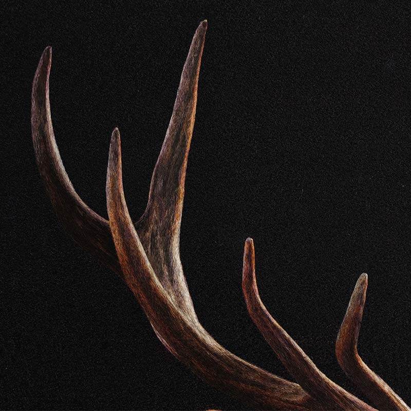 A Deer’s Prosperity - SinoCultural -- WXYW0170 -