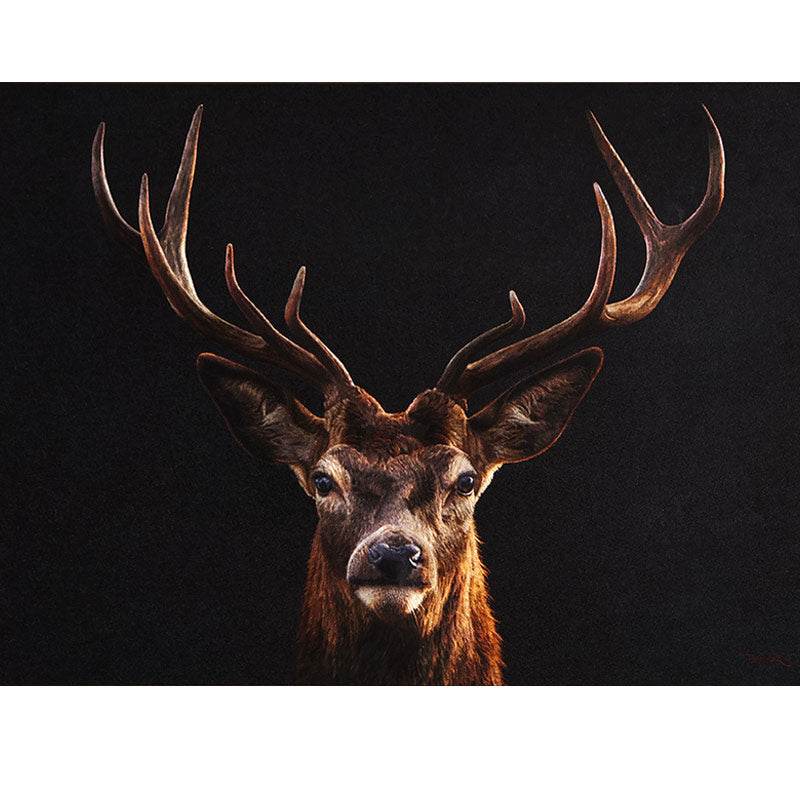 A Deer’s Prosperity - SinoCultural -- WXYW0170 -