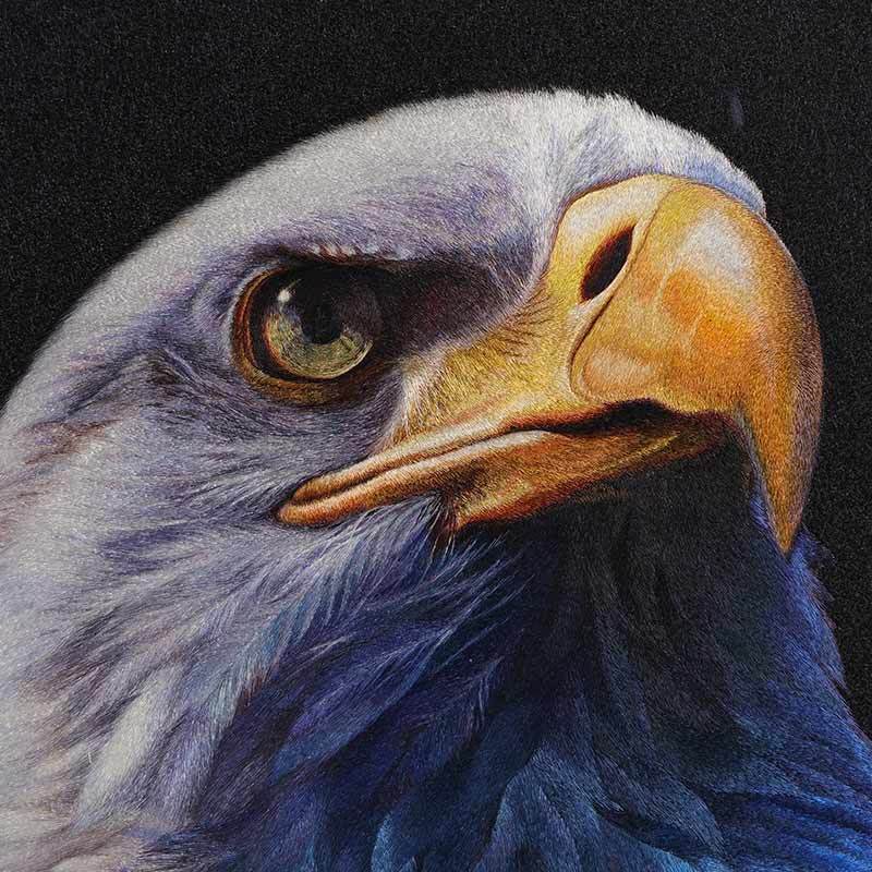 Eagle - SinoCultural -- WXYW0171 -