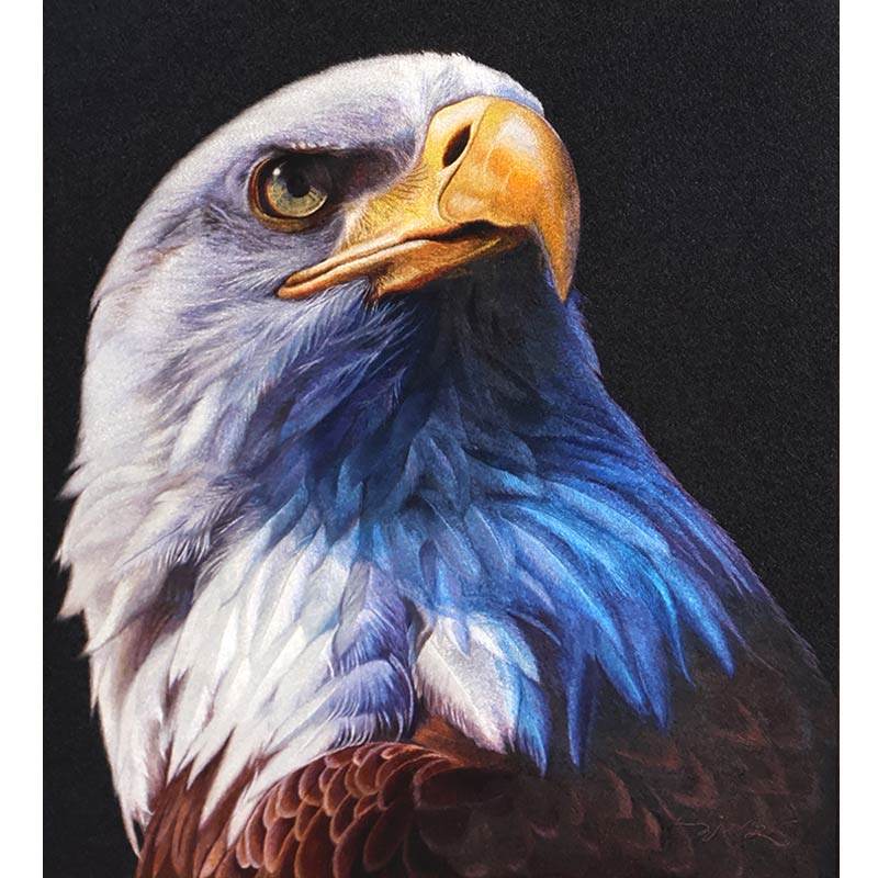 Eagle - SinoCultural -- WXYW0171