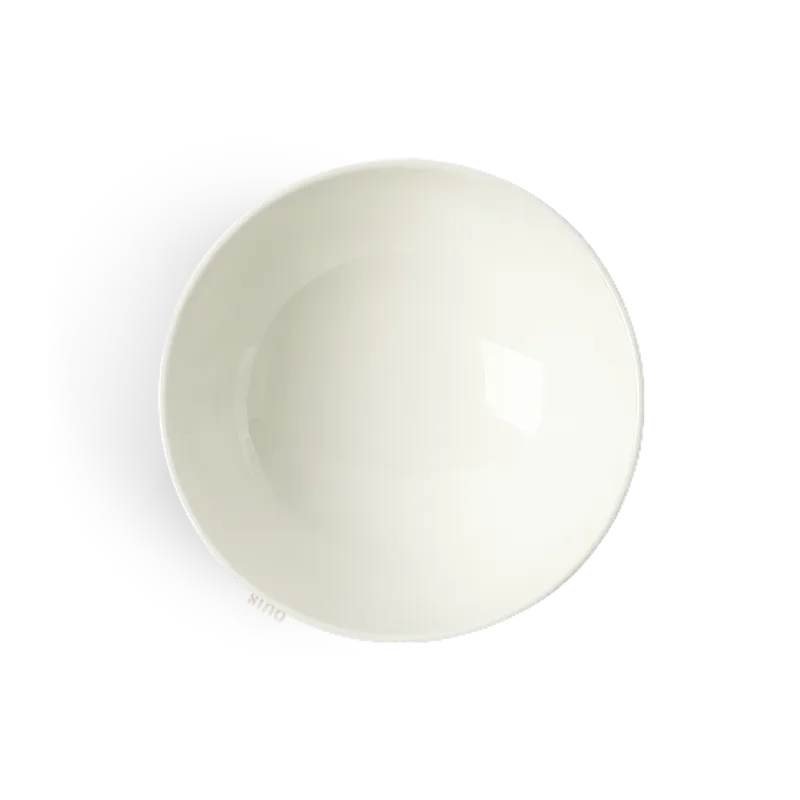 Top view showing pure white bowl interior.