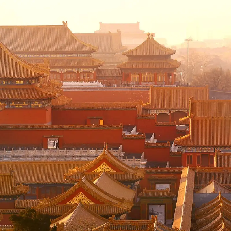 Why "China Travel" Is Taking the Internet by Storm This Summer？