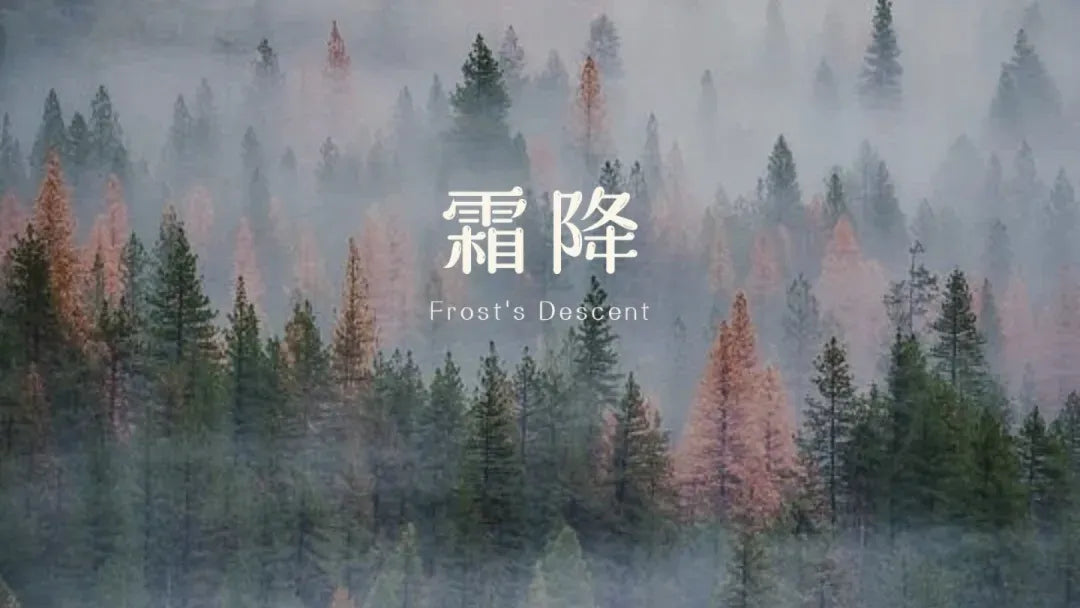 2025 Frost's Descent (Shuangjiang) blog cover: A misty forest with green and pink-tinged pine trees, overlaid with Chinese characters "霜降" and English "Frost's Descent", capturing the serene arrival of winter.