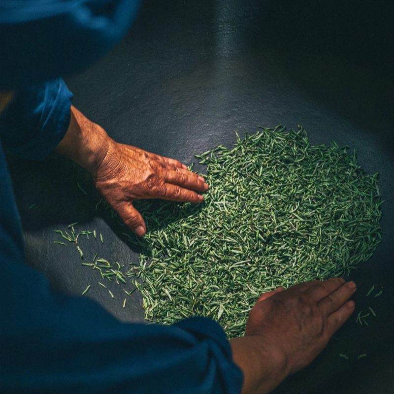 Chinese Tea Culture: Embracing Tradition and Heritage - SinoCultural