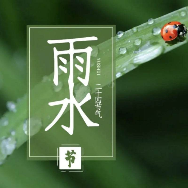 The Rhythm of Rain: Celebrating China’s Rain Water (Yushui 雨水) Solar Term - SinoCultural