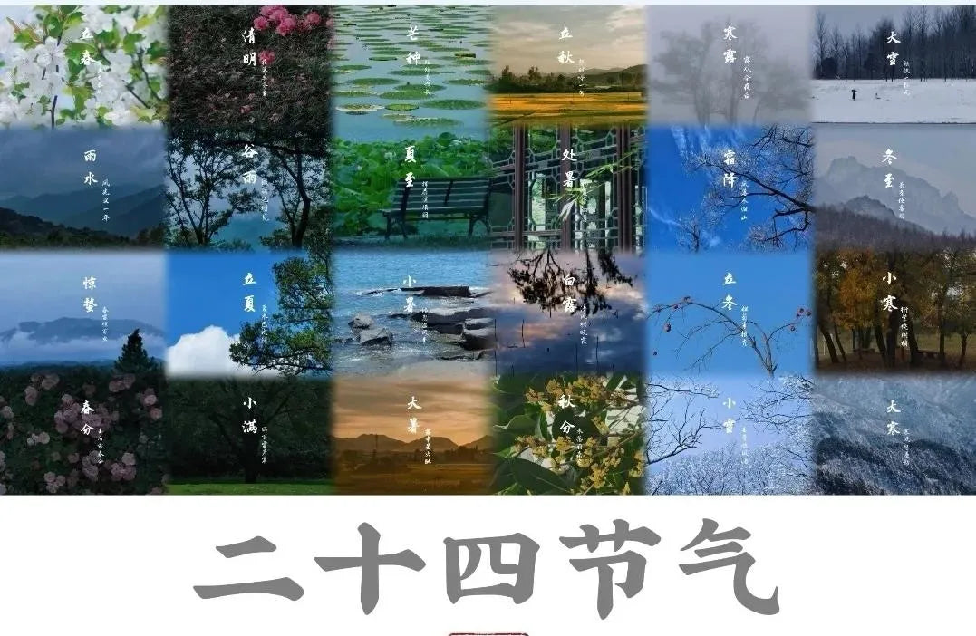 The Ultimate Guide to China 24 Solar Terms: Ancient Chinese Wisdom for Seasonal Living-Sinocultural