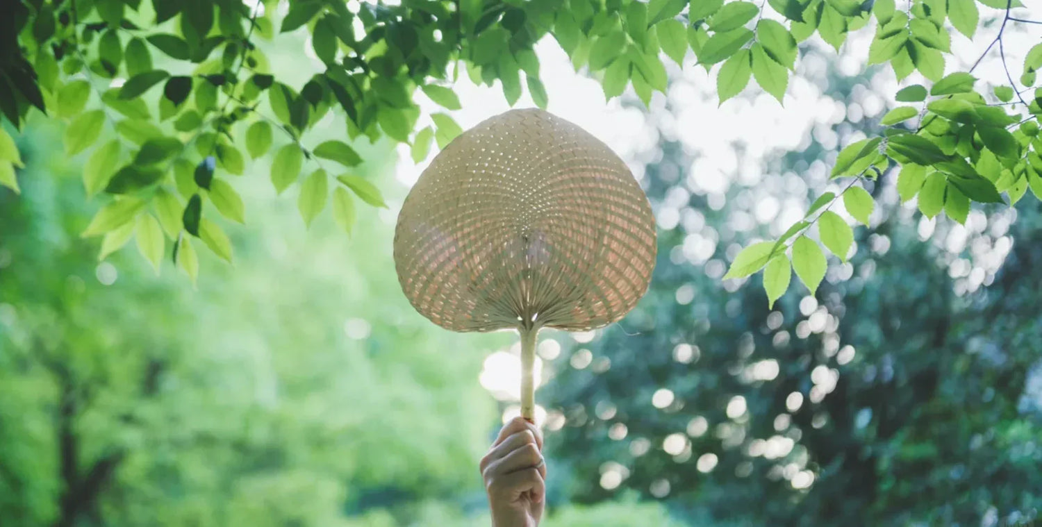 A traditional Chinese palm fan held under lush green trees, symbolizing the arrival of Lixia (Start of Summer) and the embrace of cooling rituals in early summer heat.