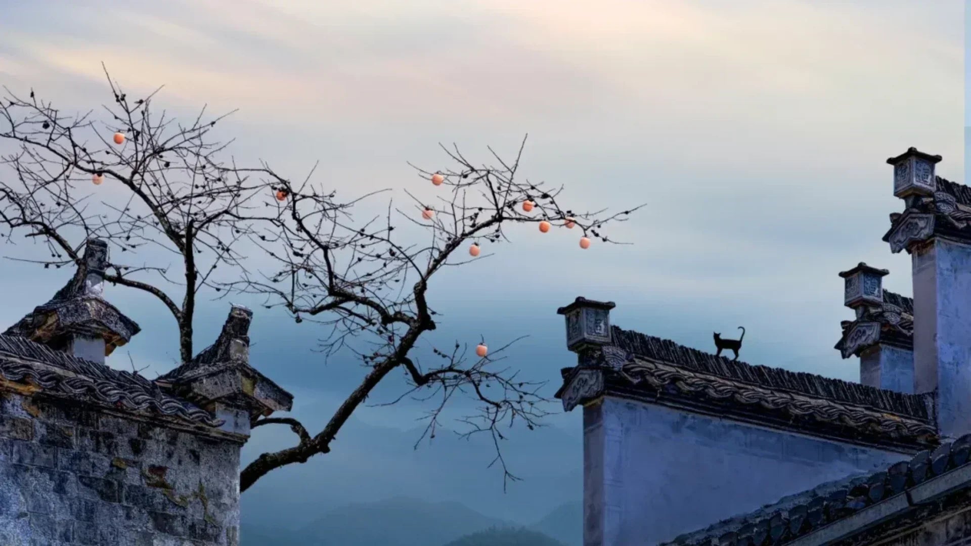 Traditional Chinese village rooftops with ornate eaves, a bare persimmon tree bearing orange fruits, and a cat sitting on a roof under a soft autumn sky.