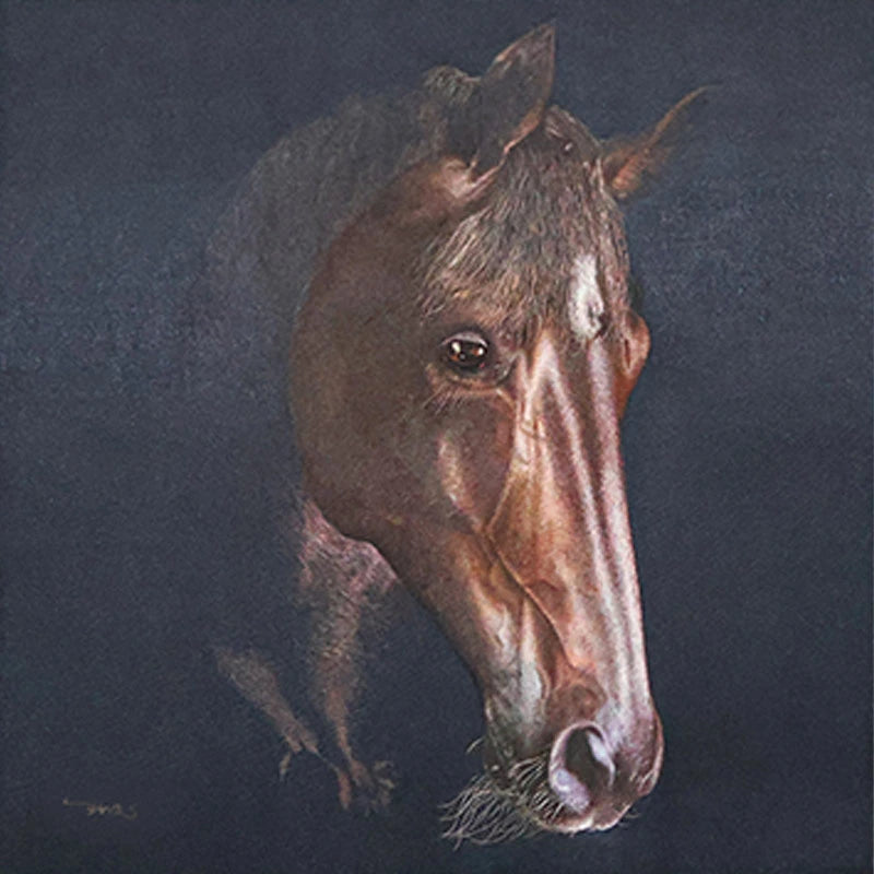 The Horse