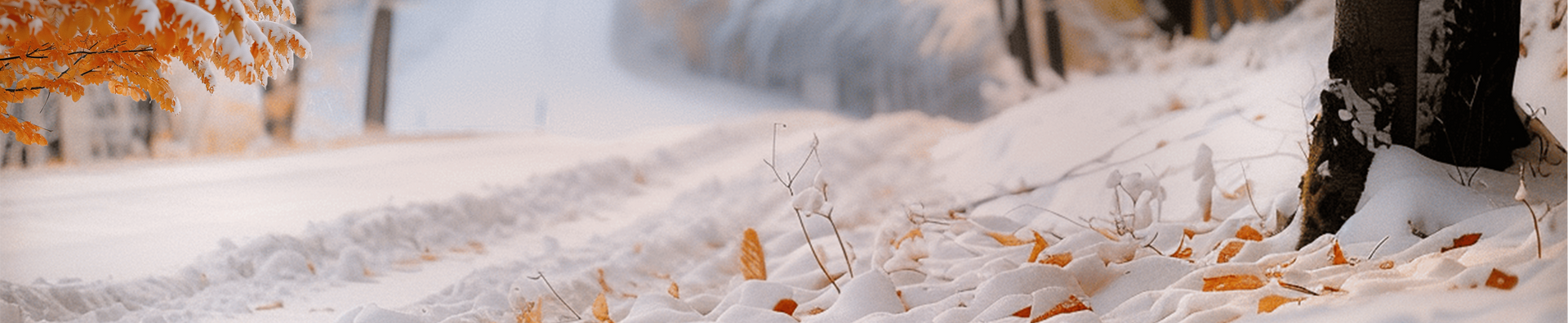 Snowy path with autumn leaves and trees during Greater Snow (Daxue) - peaceful winter landscape.