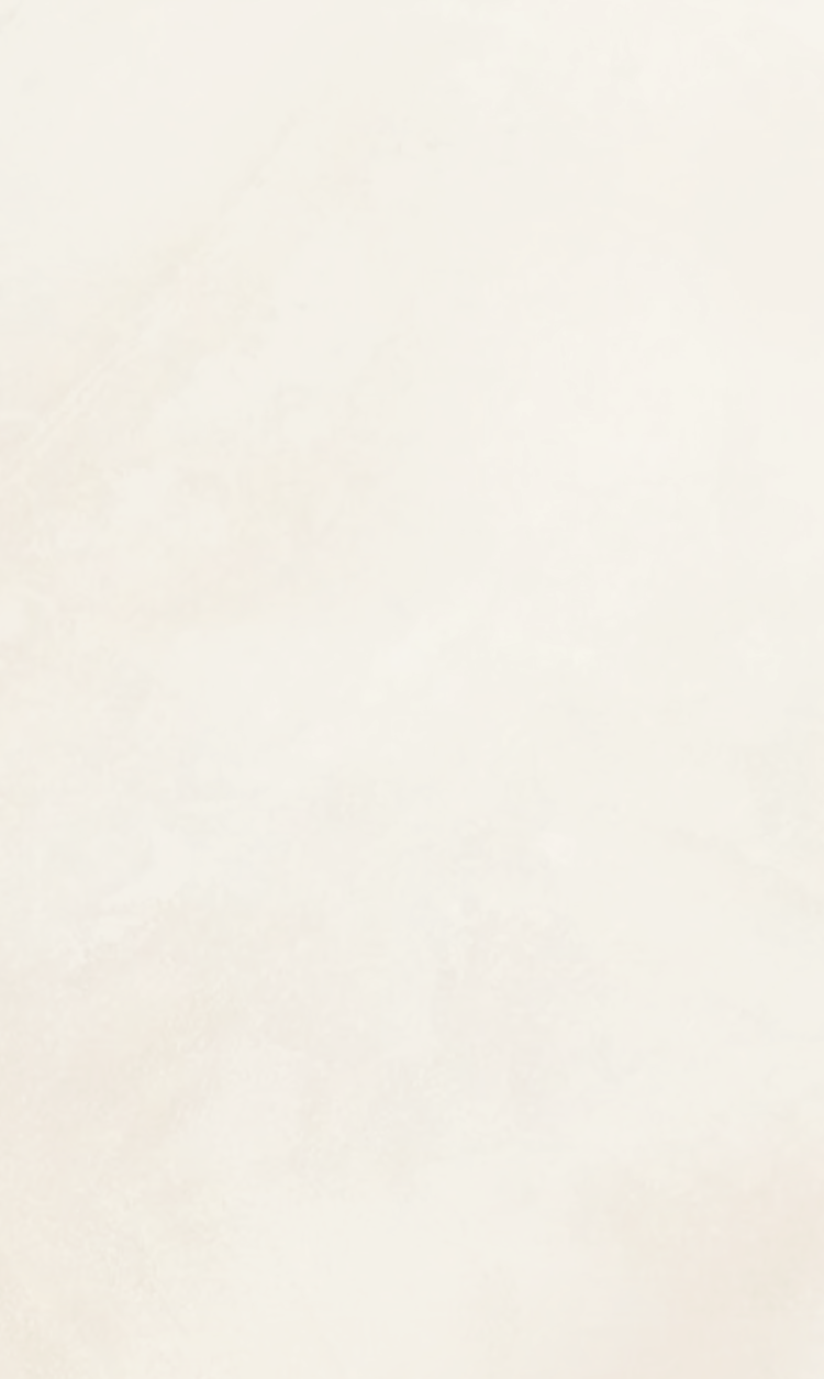 Minimal cream background with a delicate hand-drawn camel caravan motif for SinoCultural's anniversary founder message.